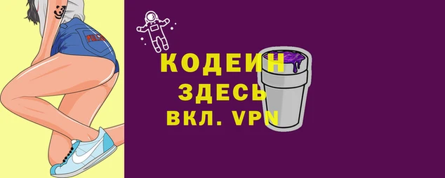гашик Алзамай