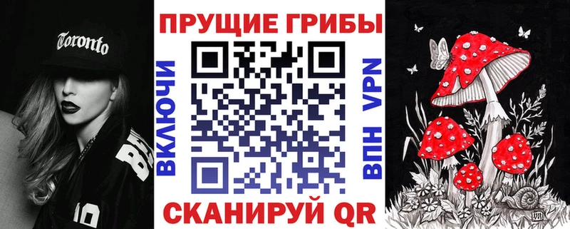это клад  Нижний Ломов  Галлюциногенные грибы Psilocybine cubensis 